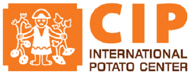 CIP-Georgia