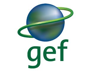 გლობალური გარემოსდაცვითი ფონდი (GEF)